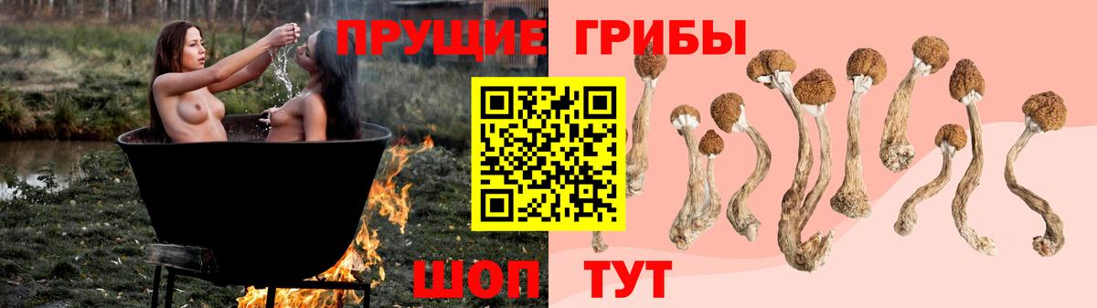 Псилоцибиновые грибы ЛСД Тольятти